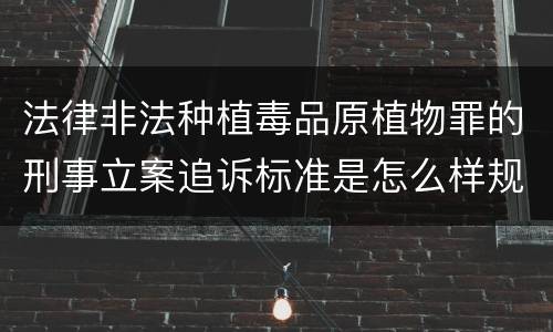 法律非法种植毒品原植物罪的刑事立案追诉标准是怎么样规定