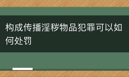 构成传播淫秽物品犯罪可以如何处罚