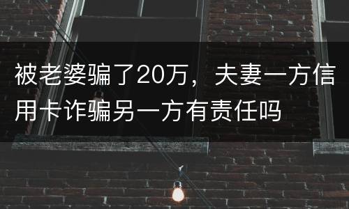 被老婆骗了20万，夫妻一方信用卡诈骗另一方有责任吗