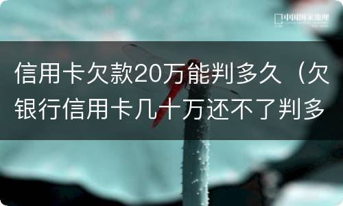 信用卡欠款20万能判多久（欠银行信用卡几十万还不了判多久）