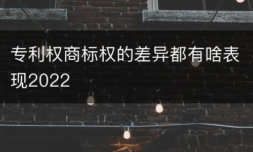 专利权商标权的差异都有啥表现2022