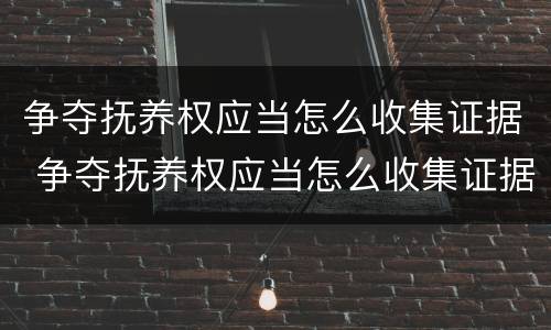 争夺抚养权应当怎么收集证据 争夺抚养权应当怎么收集证据材料