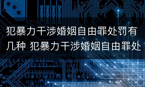 犯暴力干涉婚姻自由罪处罚有几种 犯暴力干涉婚姻自由罪处罚有几种类型