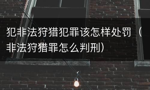 犯非法狩猎犯罪该怎样处罚（非法狩猎罪怎么判刑）