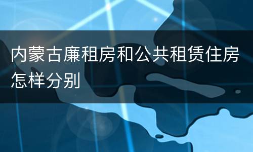 内蒙古廉租房和公共租赁住房怎样分别