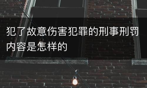 犯了故意伤害犯罪的刑事刑罚内容是怎样的