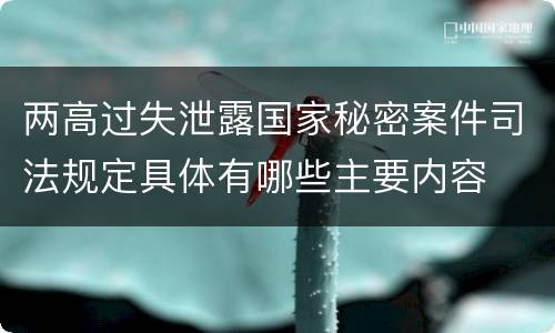 两高过失泄露国家秘密案件司法规定具体有哪些主要内容