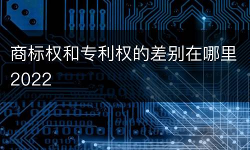 商标权和专利权的差别在哪里2022