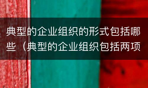 典型的企业组织的形式包括哪些（典型的企业组织包括两项基本职能）