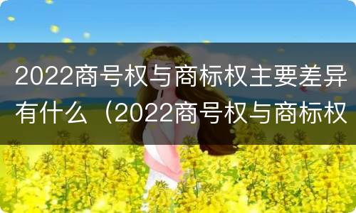 2022商号权与商标权主要差异有什么（2022商号权与商标权主要差异有什么不同）