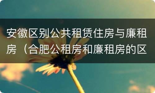 安徽区别公共租赁住房与廉租房（合肥公租房和廉租房的区别）