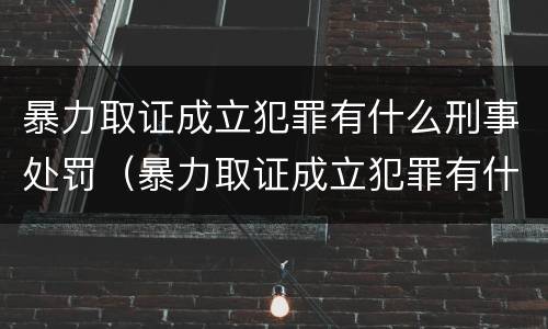 暴力取证成立犯罪有什么刑事处罚（暴力取证成立犯罪有什么刑事处罚决定）