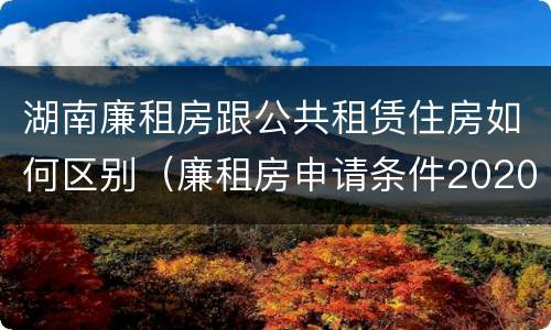 湖南廉租房跟公共租赁住房如何区别（廉租房申请条件2020湖南）