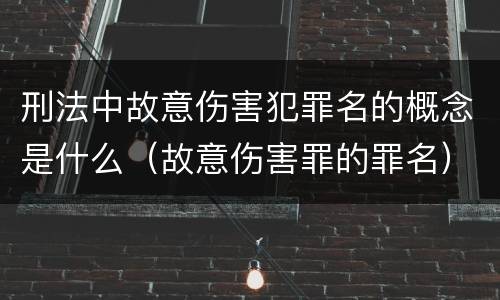 刑法中故意伤害犯罪名的概念是什么（故意伤害罪的罪名）