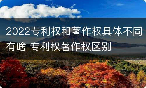 2022专利权和著作权具体不同有啥 专利权著作权区别