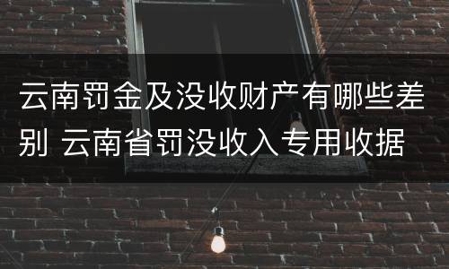 云南罚金及没收财产有哪些差别 云南省罚没收入专用收据