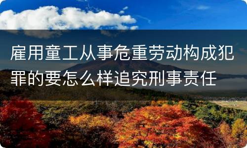 雇用童工从事危重劳动构成犯罪的要怎么样追究刑事责任