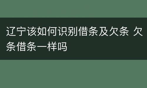 辽宁该如何识别借条及欠条 欠条借条一样吗