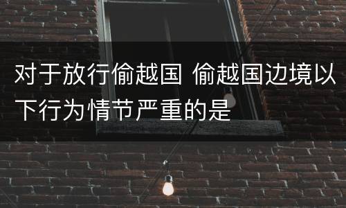 对于放行偷越国 偷越国边境以下行为情节严重的是