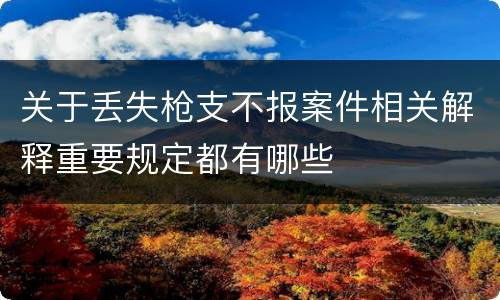 关于丢失枪支不报案件相关解释重要规定都有哪些