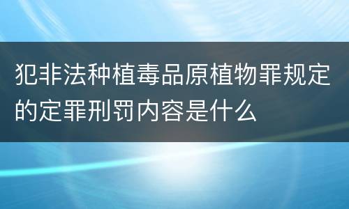 犯非法种植毒品原植物罪规定的定罪刑罚内容是什么