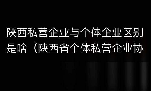 陕西私营企业与个体企业区别是啥（陕西省个体私营企业协会官网）