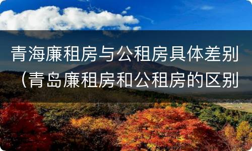 青海廉租房与公租房具体差别（青岛廉租房和公租房的区别）