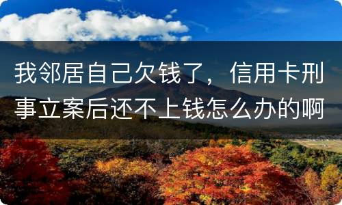 我邻居自己欠钱了，信用卡刑事立案后还不上钱怎么办的啊