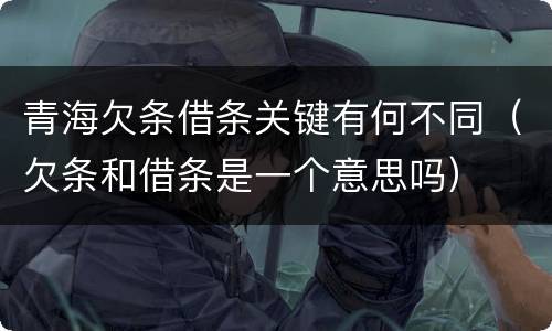 青海欠条借条关键有何不同（欠条和借条是一个意思吗）