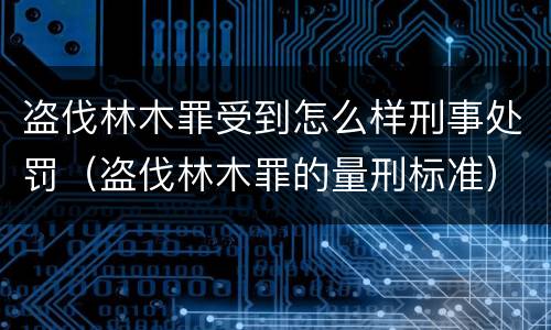 盗伐林木罪受到怎么样刑事处罚（盗伐林木罪的量刑标准）