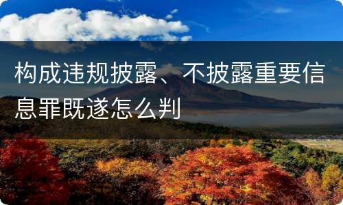 构成违规披露、不披露重要信息罪既遂怎么判