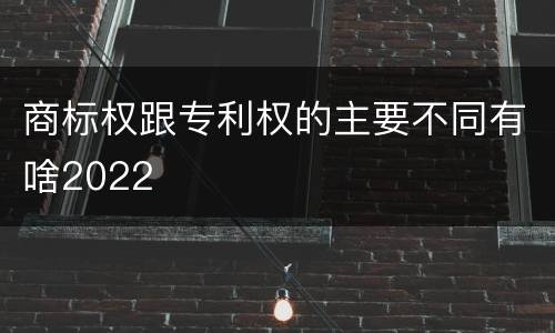 商标权跟专利权的主要不同有啥2022