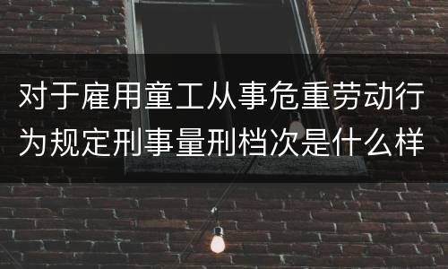 对于雇用童工从事危重劳动行为规定刑事量刑档次是什么样