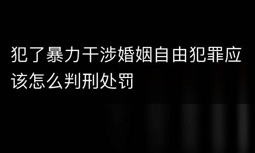 犯了暴力干涉婚姻自由犯罪应该怎么判刑处罚