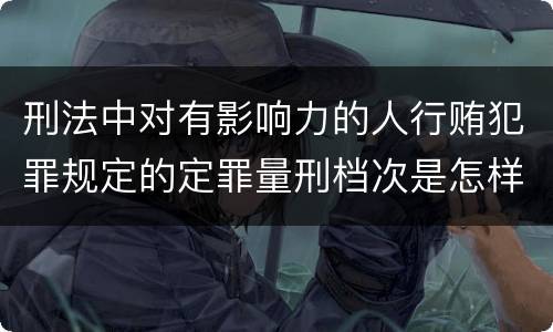 刑法中对有影响力的人行贿犯罪规定的定罪量刑档次是怎样的