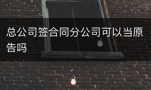 总公司签合同分公司可以当原告吗