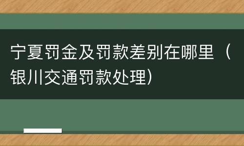 宁夏罚金及罚款差别在哪里（银川交通罚款处理）