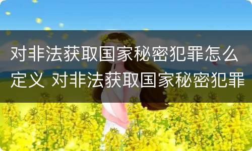 对非法获取国家秘密犯罪怎么定义 对非法获取国家秘密犯罪怎么定义的