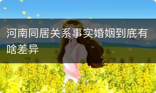 河南同居关系事实婚姻到底有啥差异