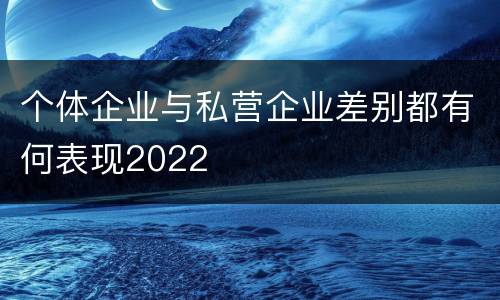 个体企业与私营企业差别都有何表现2022