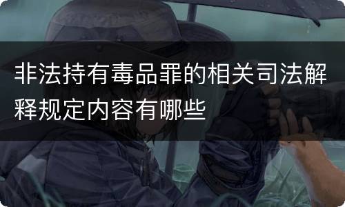 非法持有毒品罪的相关司法解释规定内容有哪些