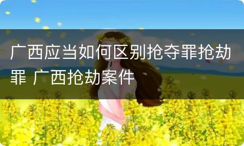 广西应当如何区别抢夺罪抢劫罪 广西抢劫案件