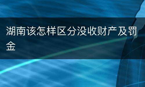 湖南该怎样区分没收财产及罚金