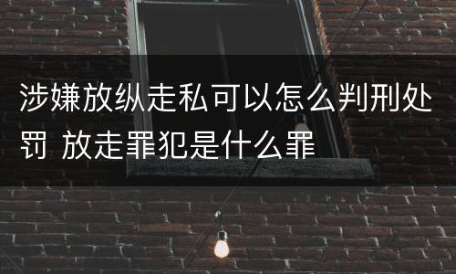 涉嫌放纵走私可以怎么判刑处罚 放走罪犯是什么罪