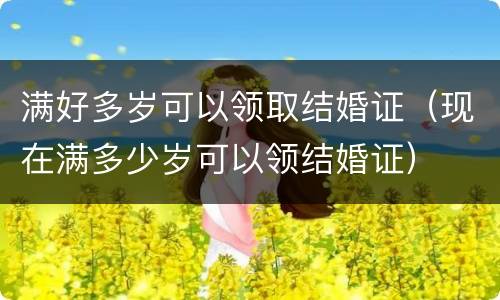 满好多岁可以领取结婚证（现在满多少岁可以领结婚证）