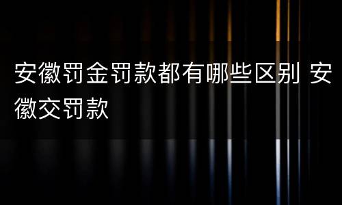 安徽罚金罚款都有哪些区别 安徽交罚款