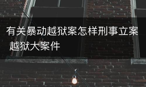 有关暴动越狱案怎样刑事立案 越狱大案件