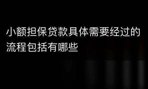 小额担保贷款具体需要经过的流程包括有哪些