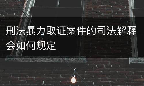 刑法暴力取证案件的司法解释会如何规定