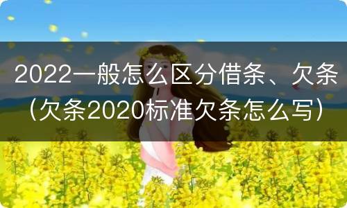 2022一般怎么区分借条、欠条（欠条2020标准欠条怎么写）